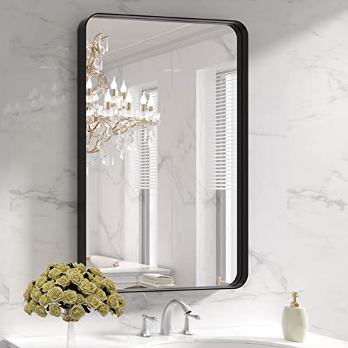 LOAAO Black Metal Framed Bathroom