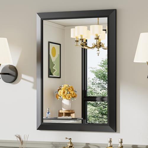 Briivue 22x30 Inch Black Bathroom