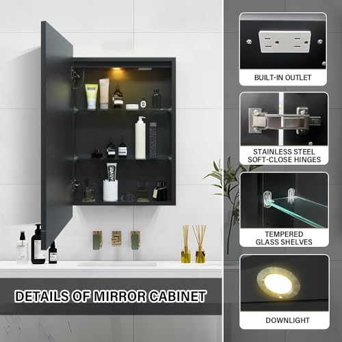 KAASUNES LED Medicine Cabinet 16x24inch view 3