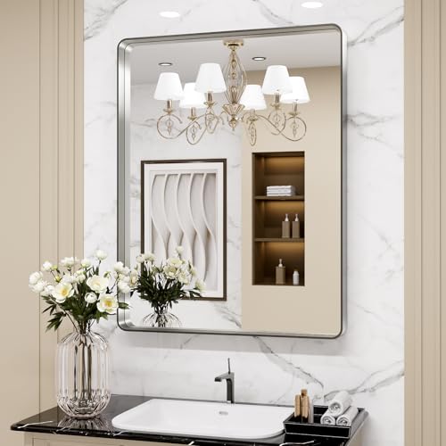 LOAAO 24X36 Inch Brushed Nickel
