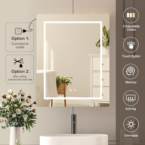 Mepplzian Lighted Medicine Cabinet with view 4