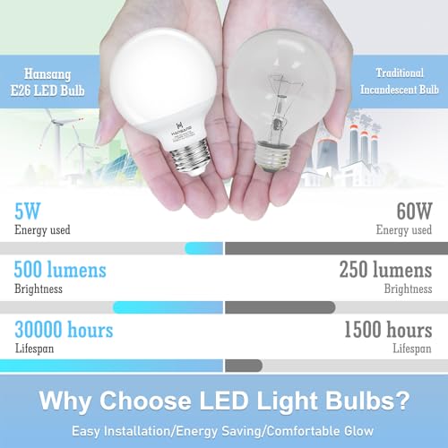 hansang G25 LED Globe Light view 4