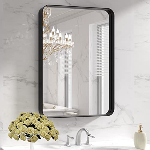 LOAAO Black Metal Framed Bathroom