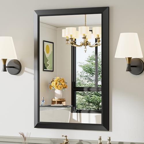 Briivue 24x36 Inch Black Bathroom